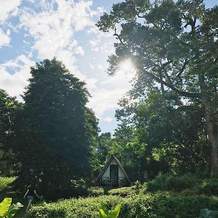 The Forest Cabin Bed and Breakfast Taiping Eksteriør billede