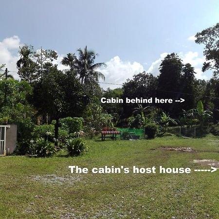 The Forest Cabin Bed and Breakfast Taiping Eksteriør billede