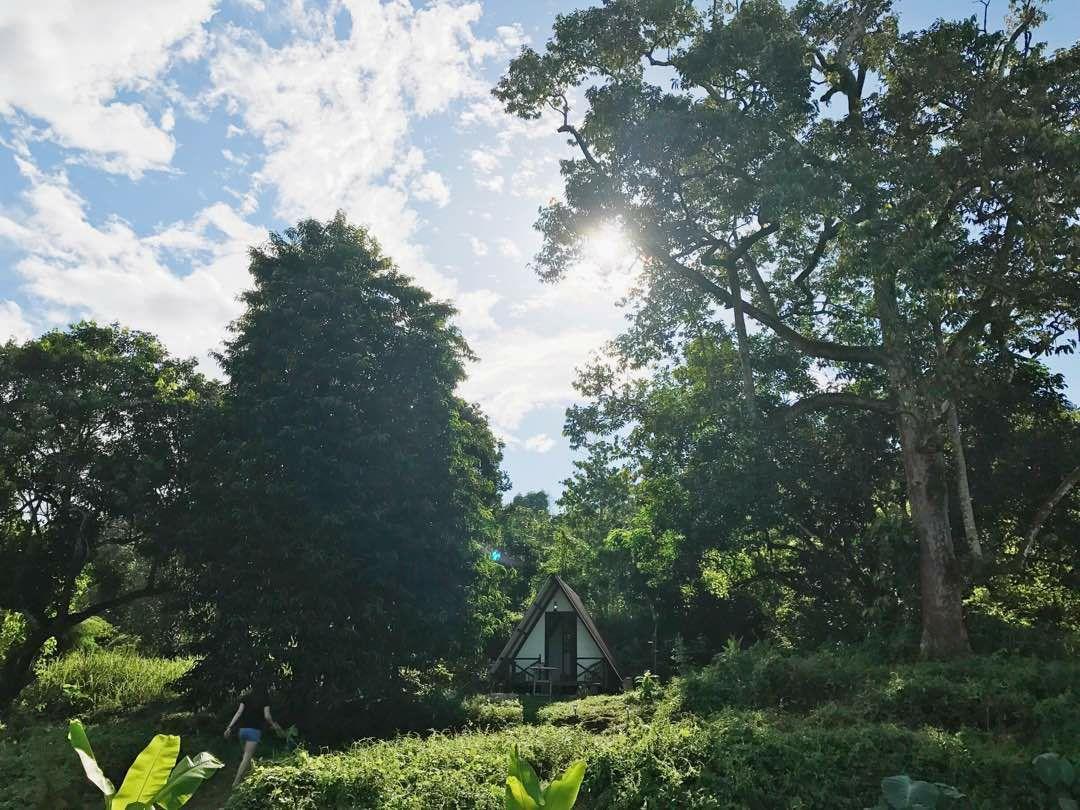 The Forest Cabin Bed and Breakfast Taiping Eksteriør billede